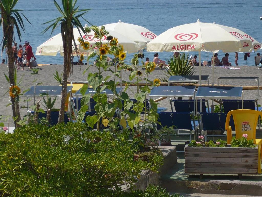 Bed and Breakfast Zi Bak Barano dʼIschia Exterior foto